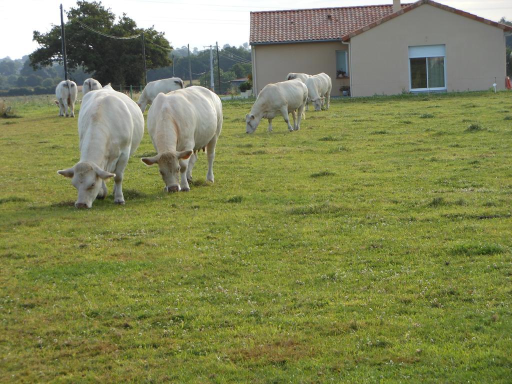 Chambre D'Hotes La Basse Gougeonniere Neuvy-en-Mauges Buitenkant foto
